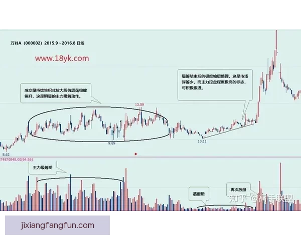 2026世界杯夺冠赔率持续震荡背后强队格局与黑马机会深度解析